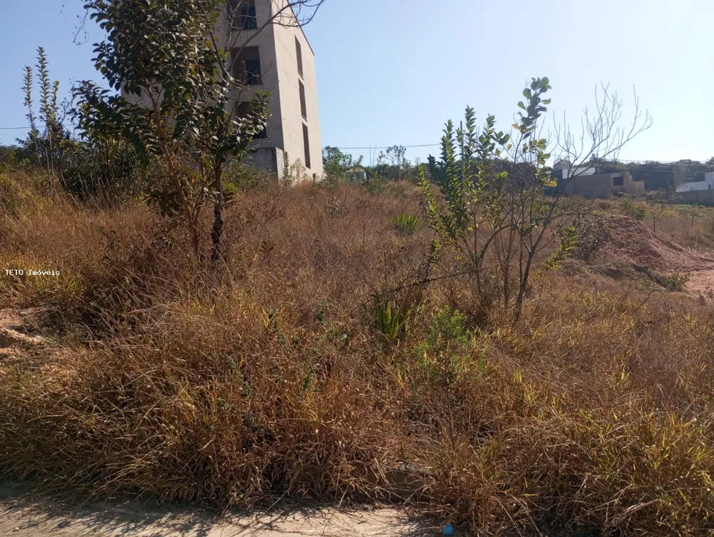Terreno - Foto 4