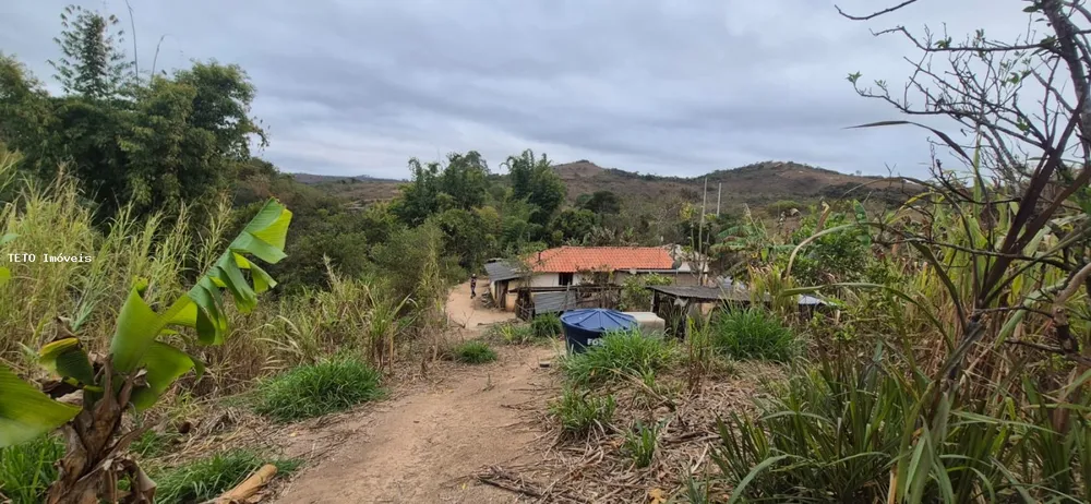 Fazenda, 5 m² - Foto 4