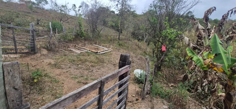 Fazenda, 5 m² - Foto 3
