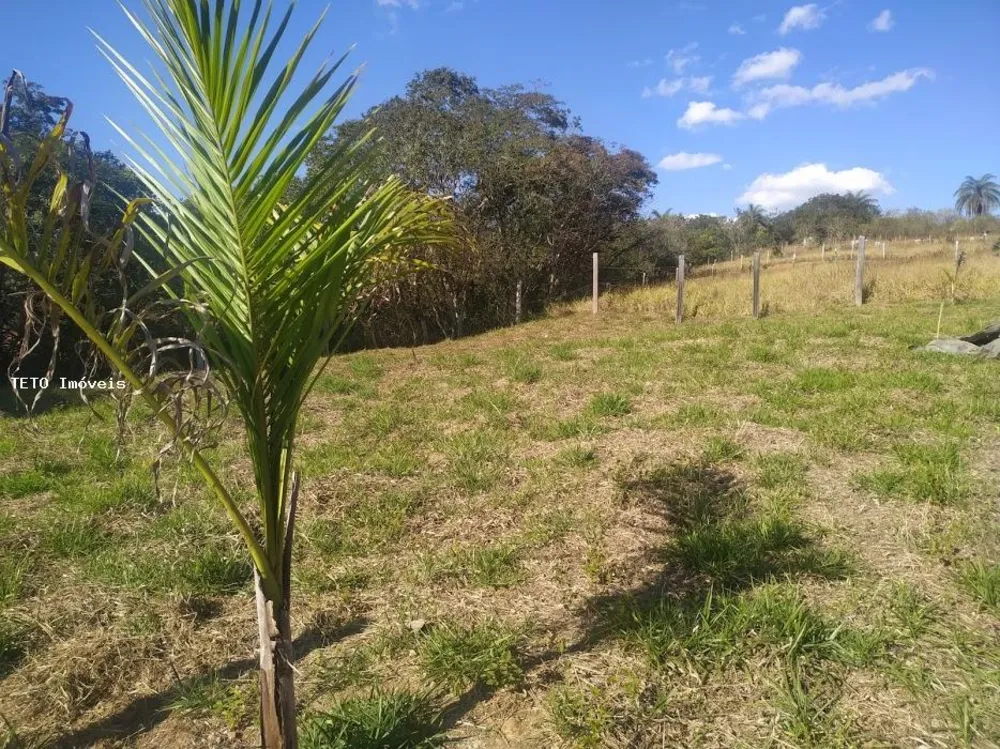 Terreno, 310 m² - Foto 3