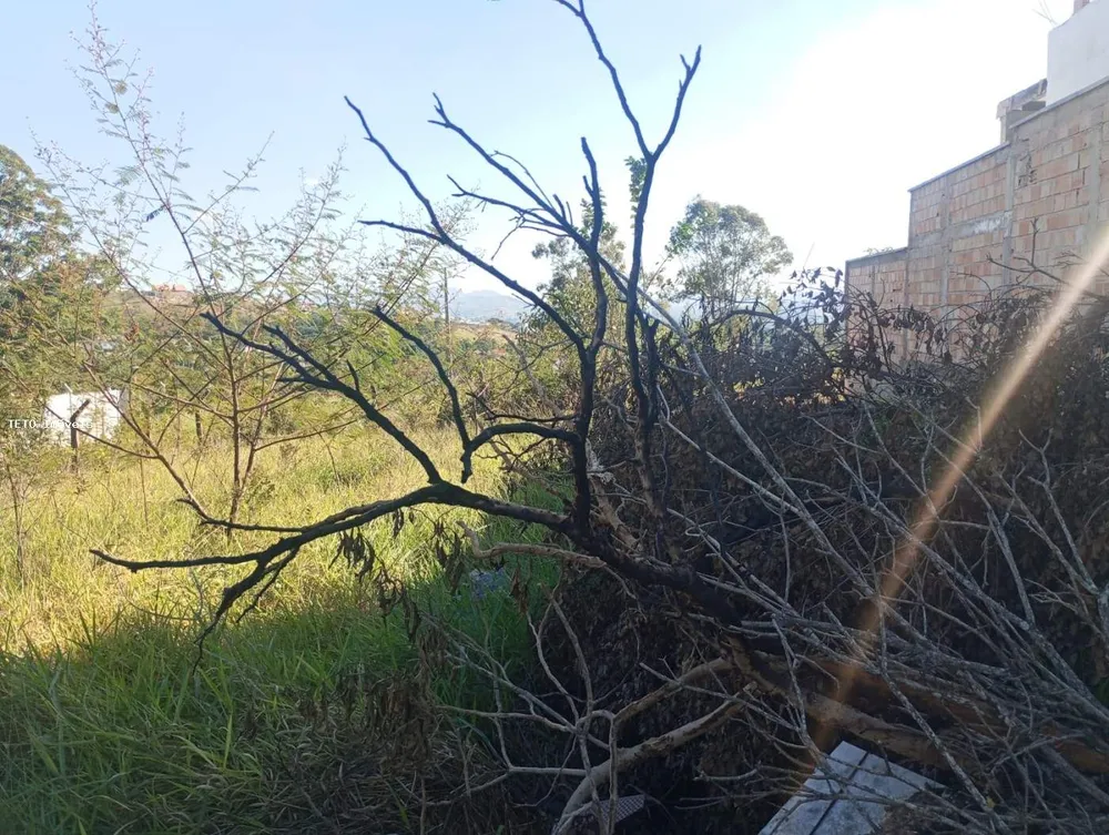 Terreno, 360 m² - Foto 3