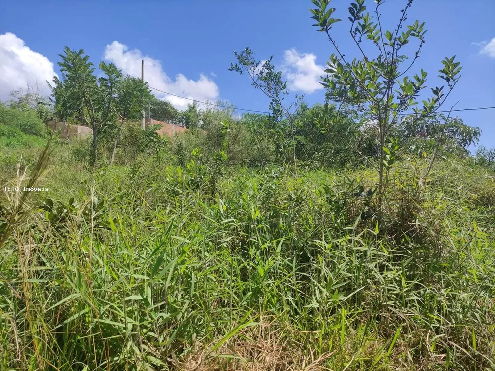 Terreno, 450 m² - Foto 4