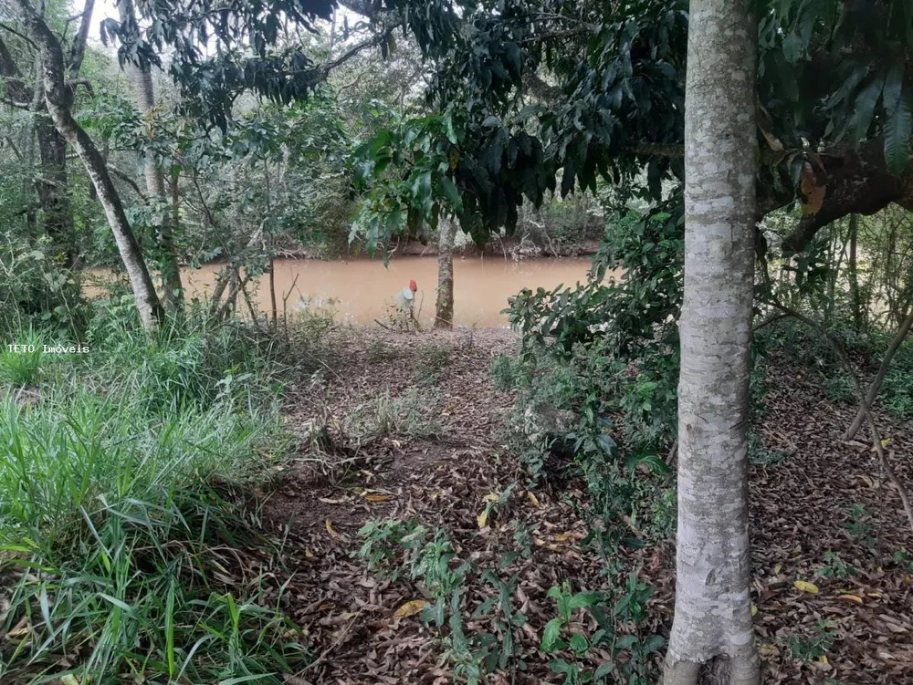 Fazenda, 2579 m² - Foto 8