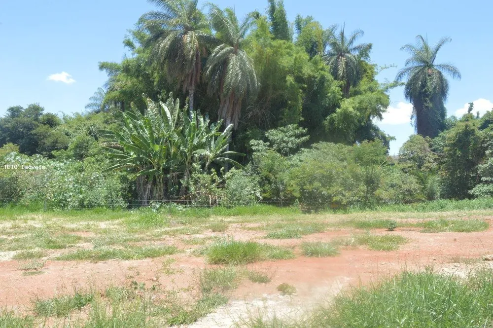 Terreno, 300 m² - Foto 4