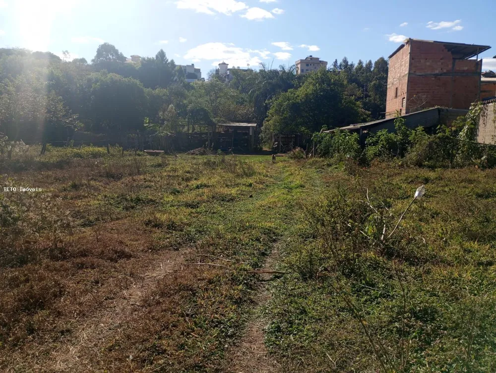 Terreno, 3386 m² - Foto 3