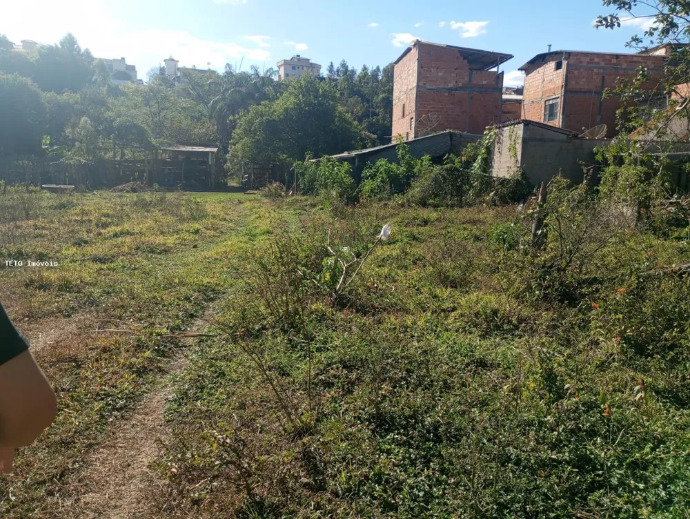 Terreno, 3386 m² - Foto 4