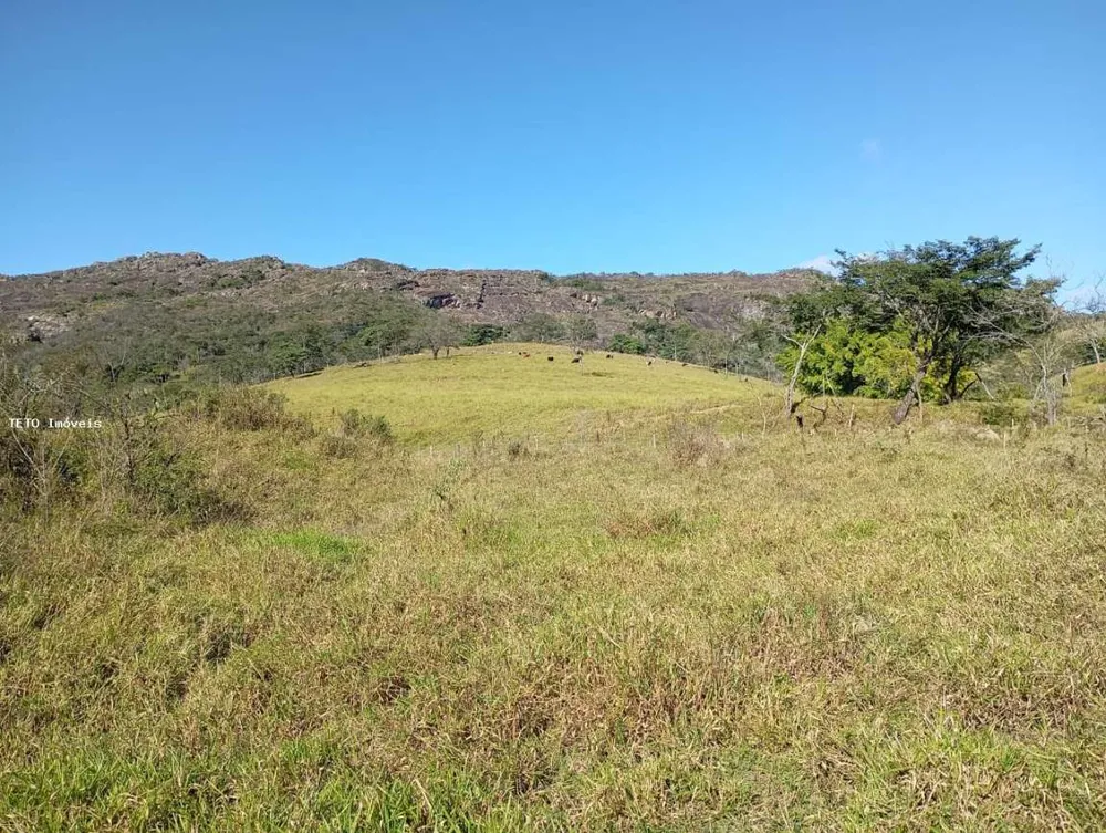 Loteamento e Condomínio, 2 hectares - Foto 3