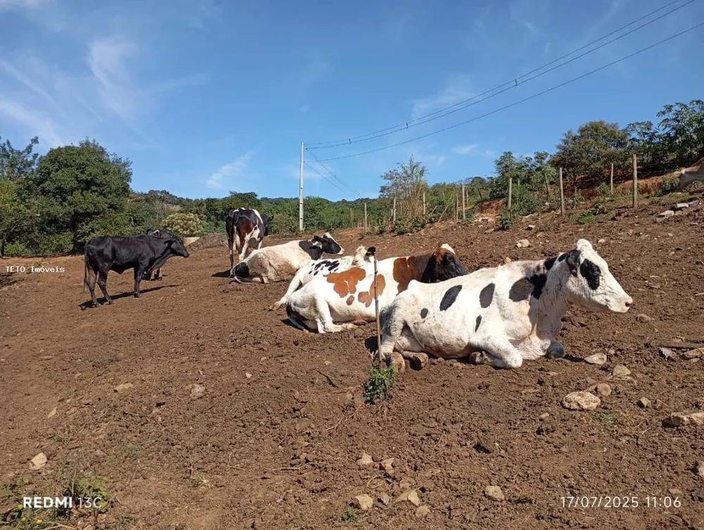 Fazenda, 15 m² - Foto 4