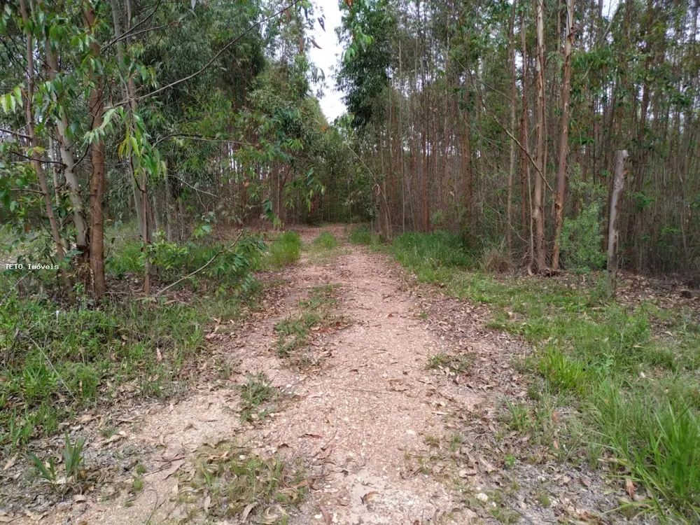 Fazenda, 53 m² - Foto 4