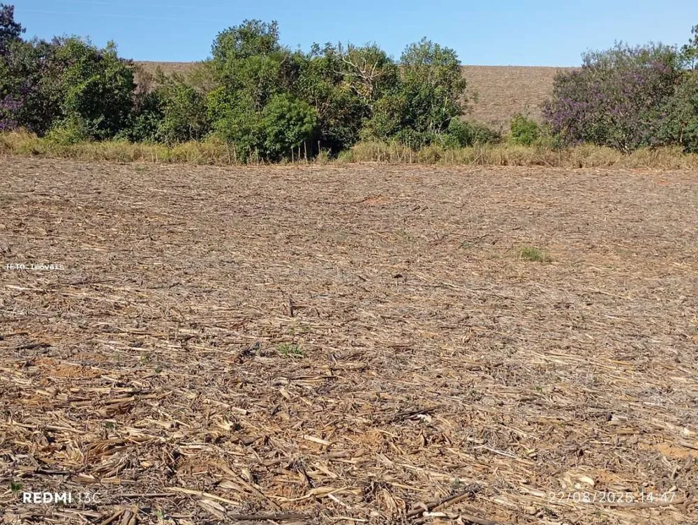 Fazenda, 1000 m² - Foto 3