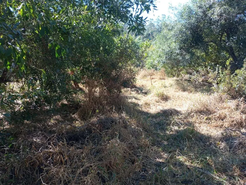 Terreno, 360 m² - Foto 3