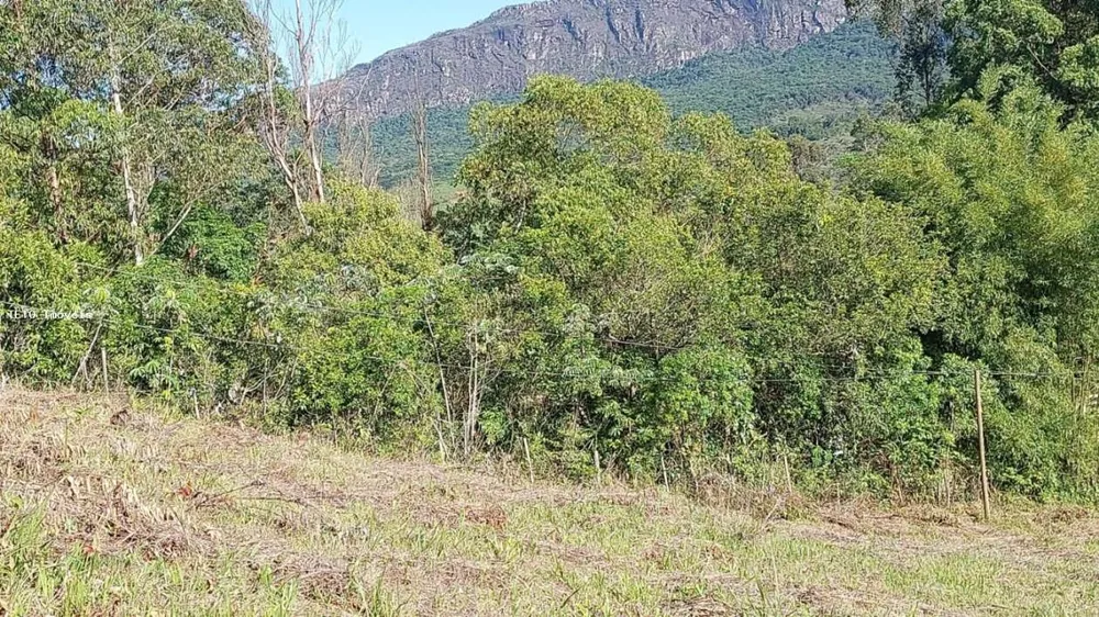 Terreno, 500 m² - Foto 3
