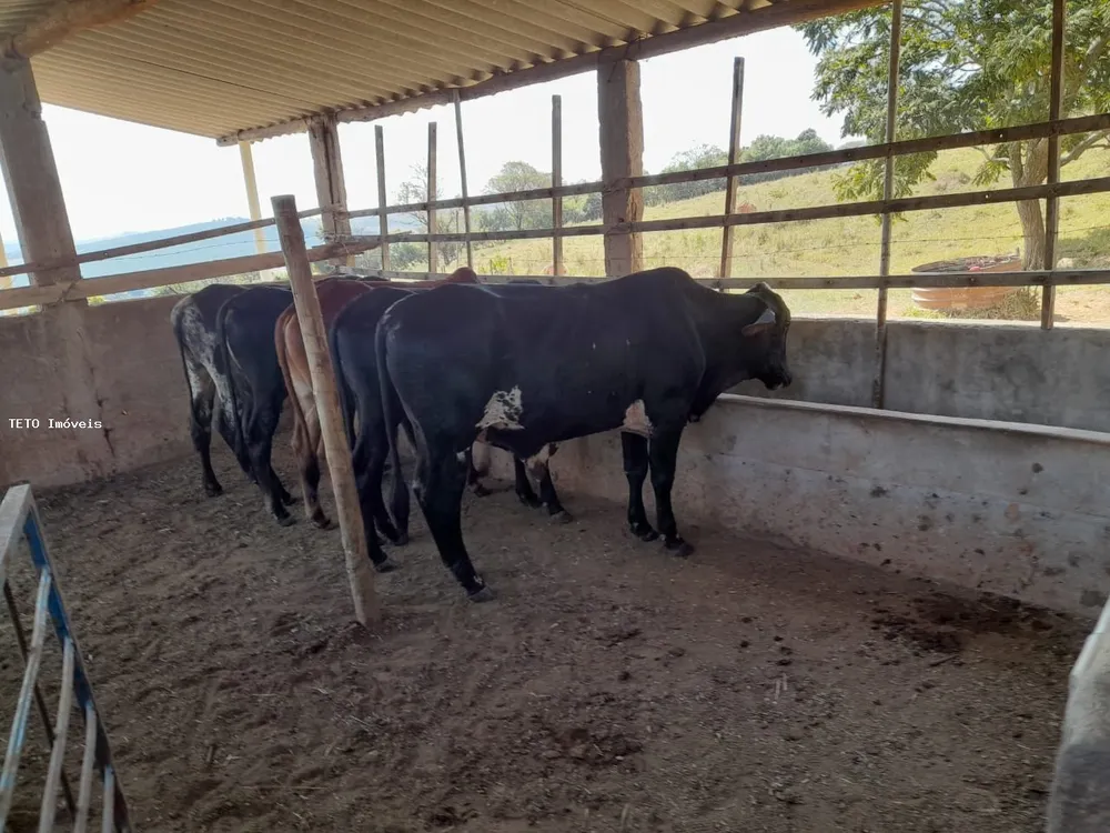 Fazenda, 13 m² - Foto 4