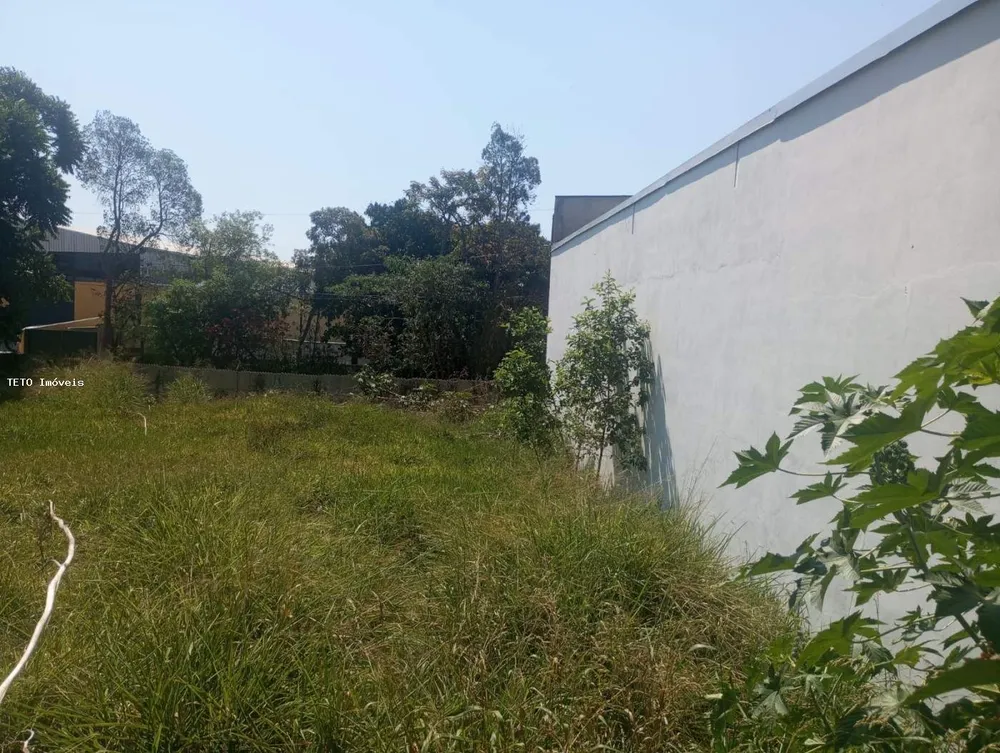 Terreno, 297 m² - Foto 3