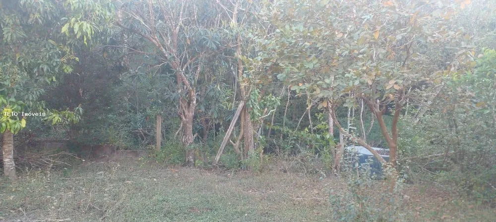 Fazenda, 2 hectares - Foto 1