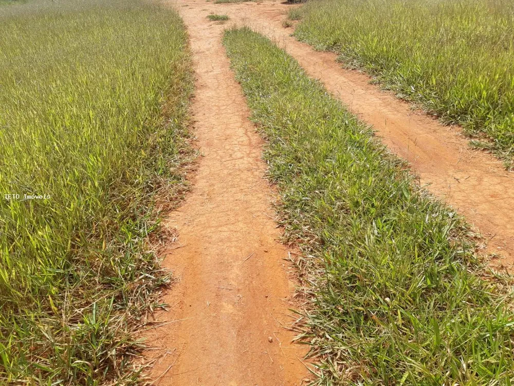 Terreno, 1000 m² - Foto 4