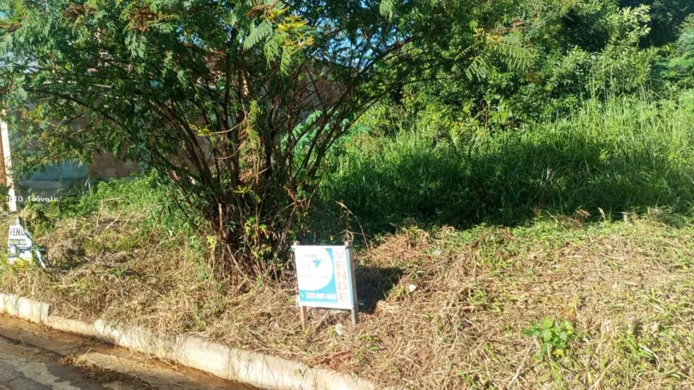 Terreno, 360 m² - Foto 4