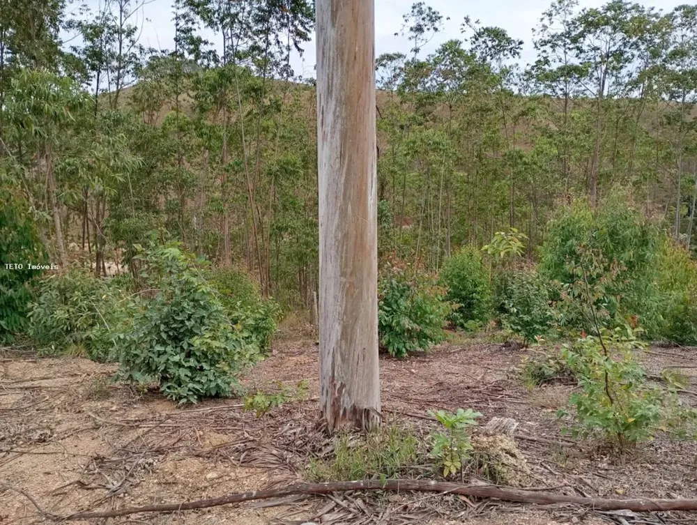 Loteamento e Condomínio, 30 m² - Foto 2