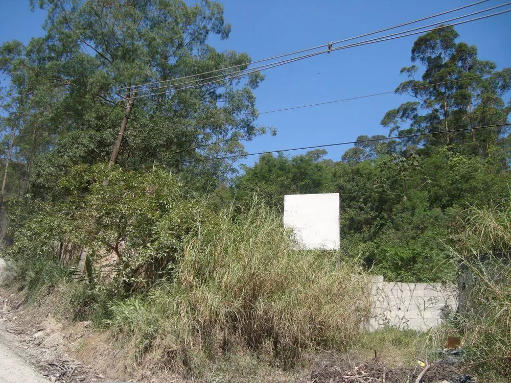 Terreno, 4 hectares - Foto 1