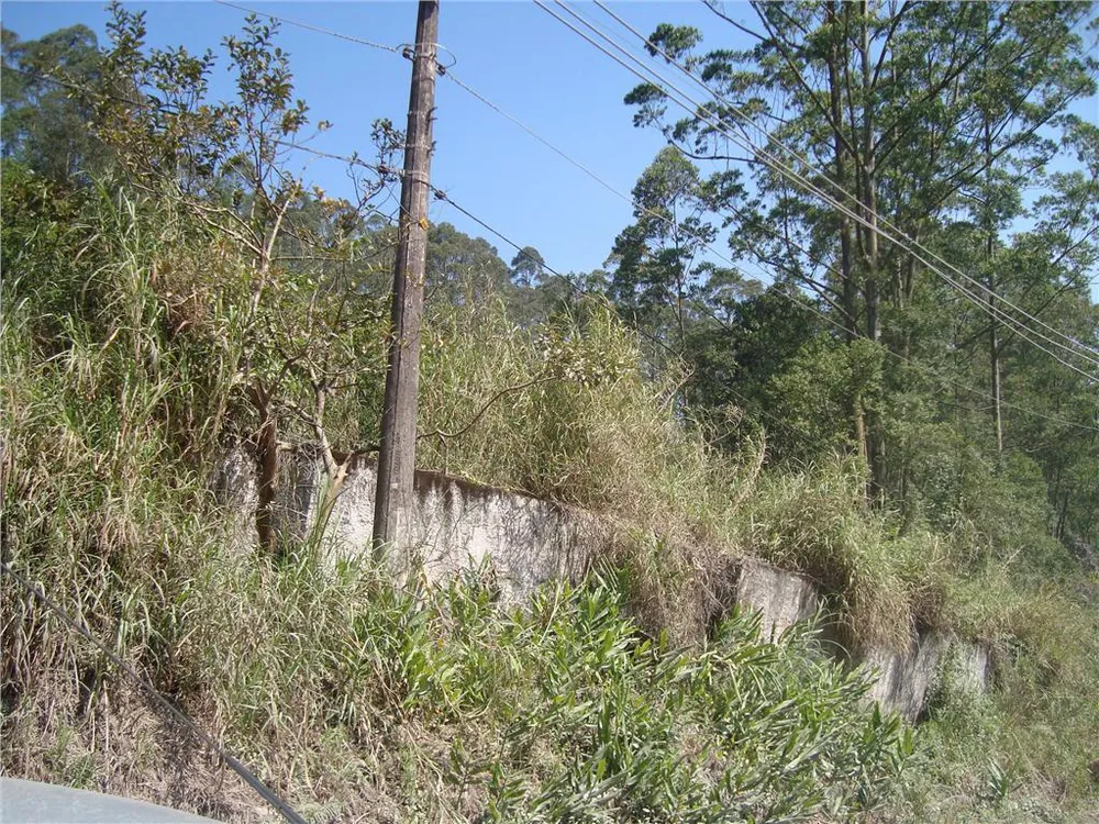 Terreno, 4 hectares - Foto 3