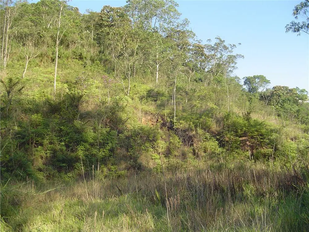 Terreno, 2 hectares - Foto 4