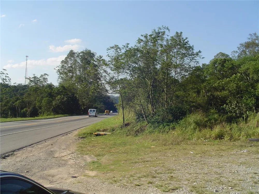 Terreno, 2 hectares - Foto 3