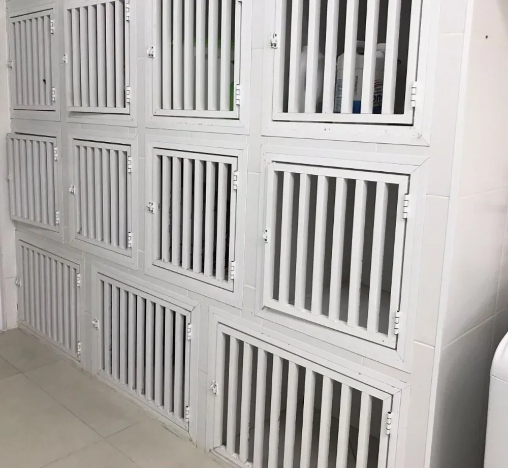 Loja-Salão, 33 m² - Foto 3
