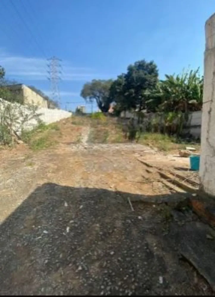 Terreno, 12 hectares - Foto 4