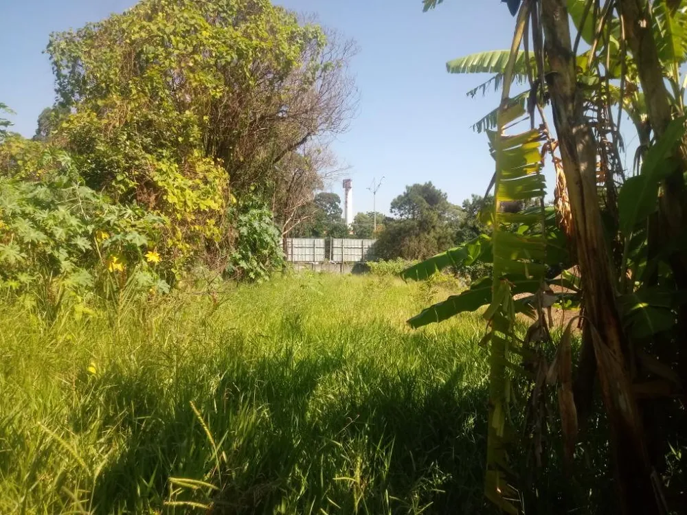 Terreno, 1648 m² - Foto 4