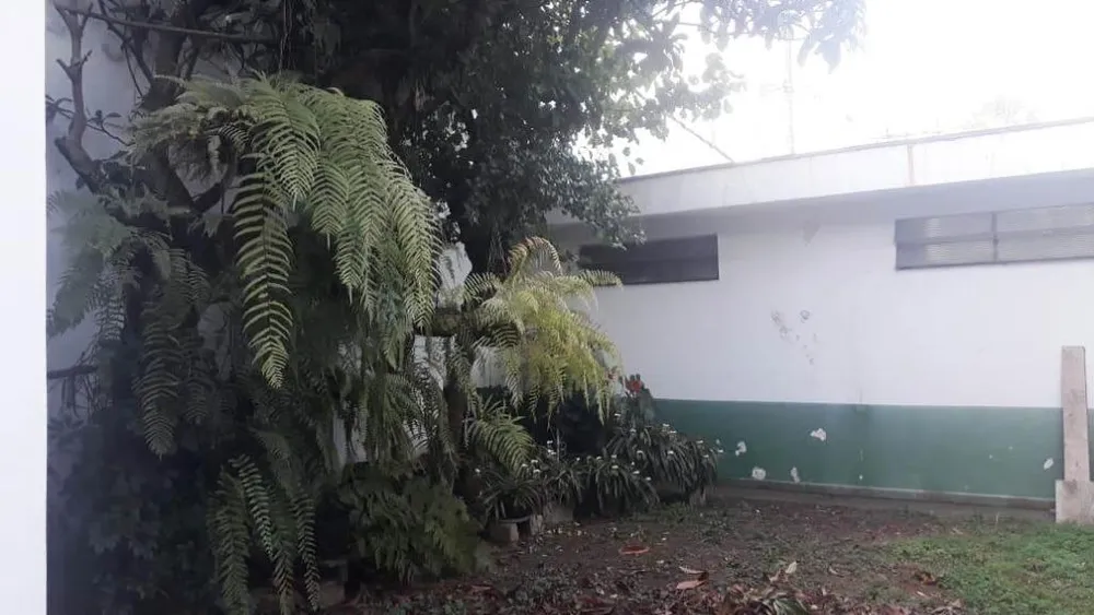 Casa, 4 quartos, 180 m² - Foto 4