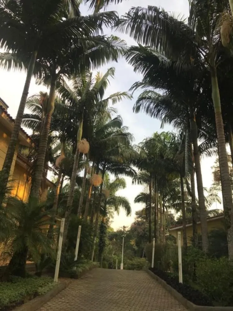 Chácara, 5 quartos, 2 hectares - Foto 1