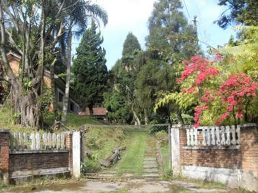 Chácara, 2 quartos, 2400 m² - Foto 4