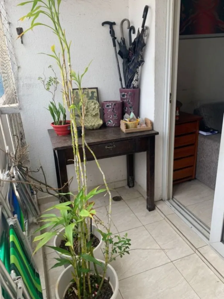 Apartamento, 3 quartos, 78 m² - Foto 3