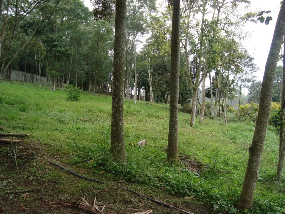 Terreno, 500 m² - Foto 4