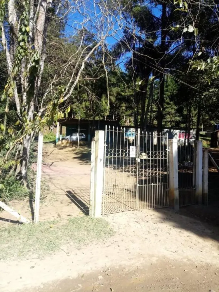 Terreno, 5 hectares - Foto 3