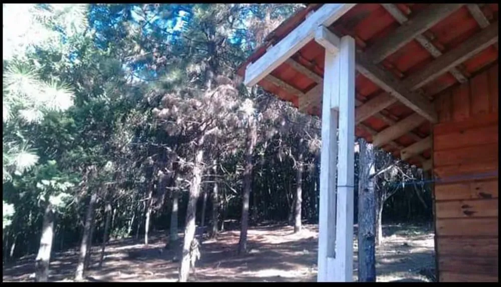 Terreno, 5 hectares - Foto 4
