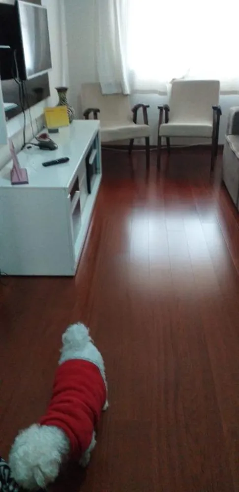 Apartamento, 2 quartos, 63 m² - Foto 4