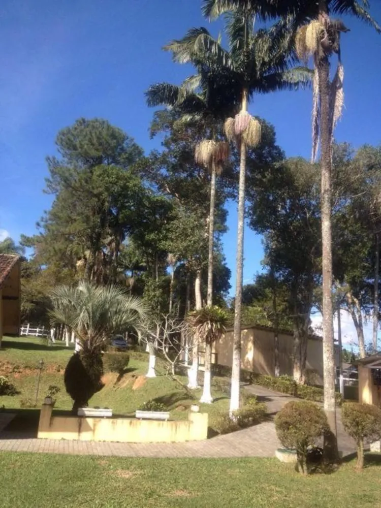 Chácara, 3 quartos, 1 hectares - Foto 3