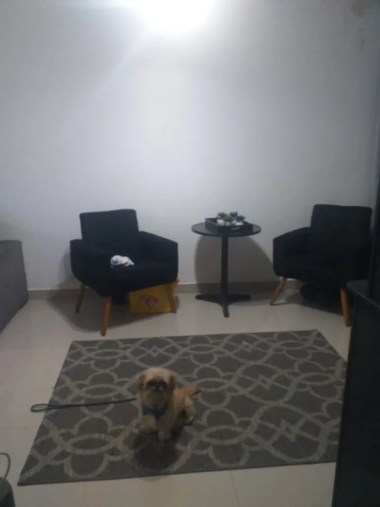 Casa, 3 quartos, 120 m² - Foto 2