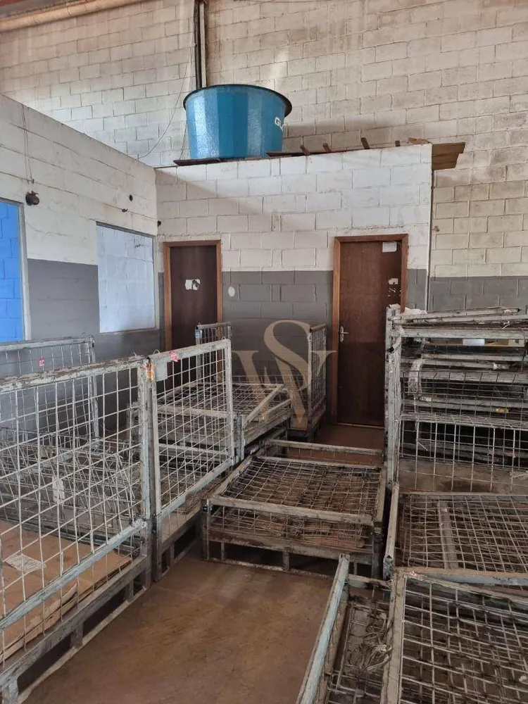 Depósito-Galpão, 700 m² - Foto 4