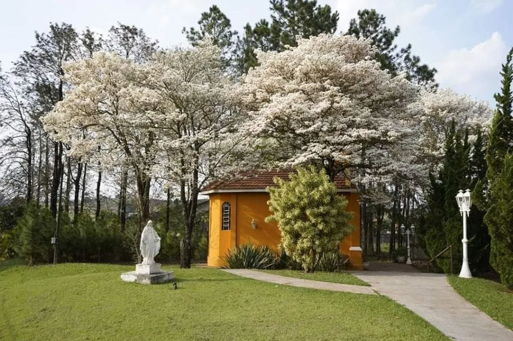 Loteamento e Condomínio, 1858 m² - Foto 11