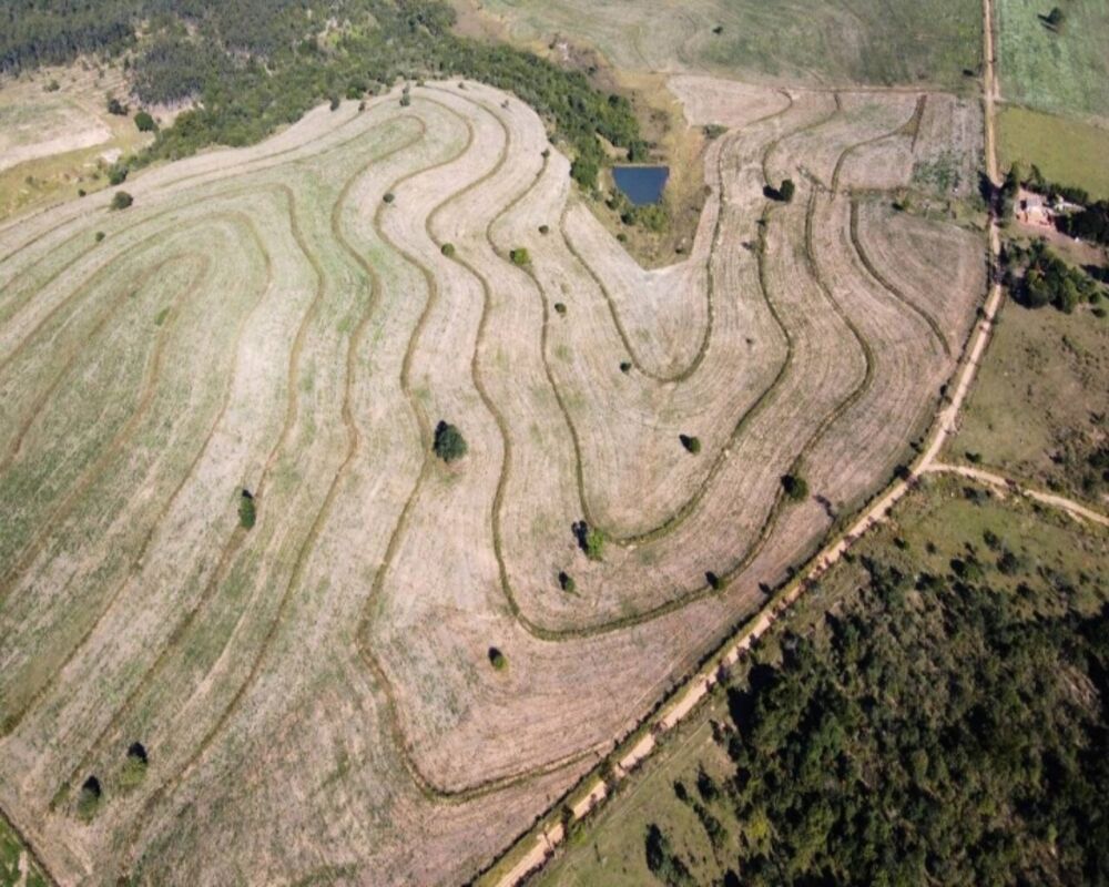 Chácara, 5000 m² - Foto 2