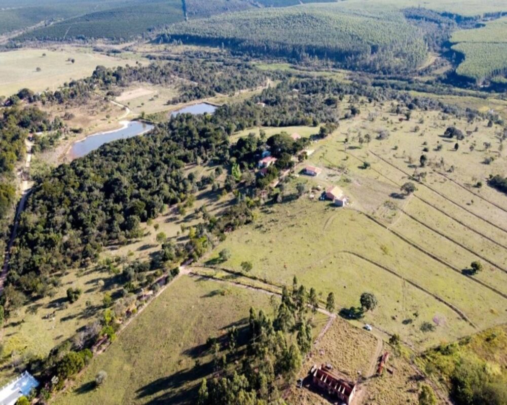 Chácara, 5000 m² - Foto 8