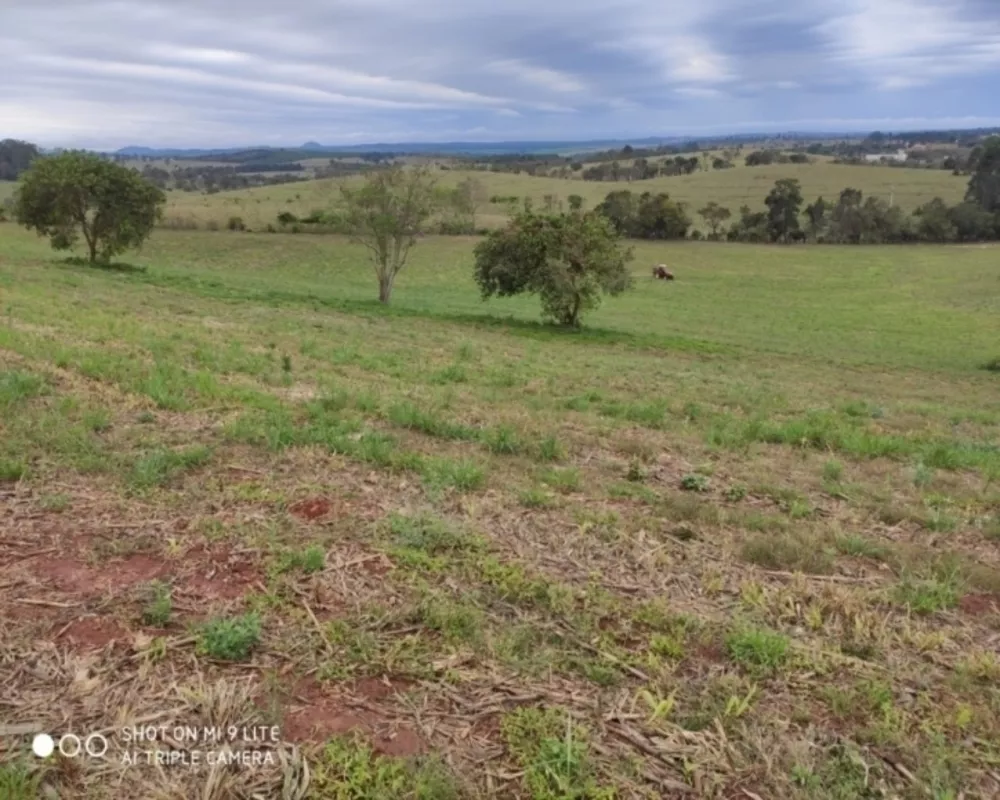 Fazenda à venda - Foto 4