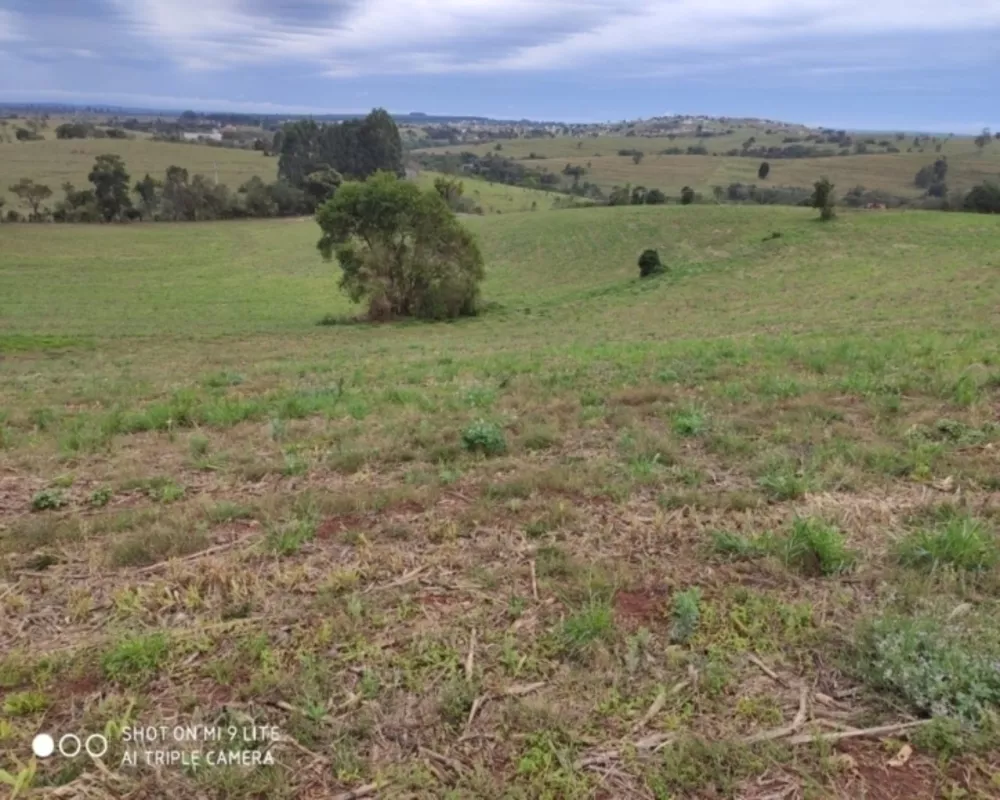 Fazenda à venda - Foto 2