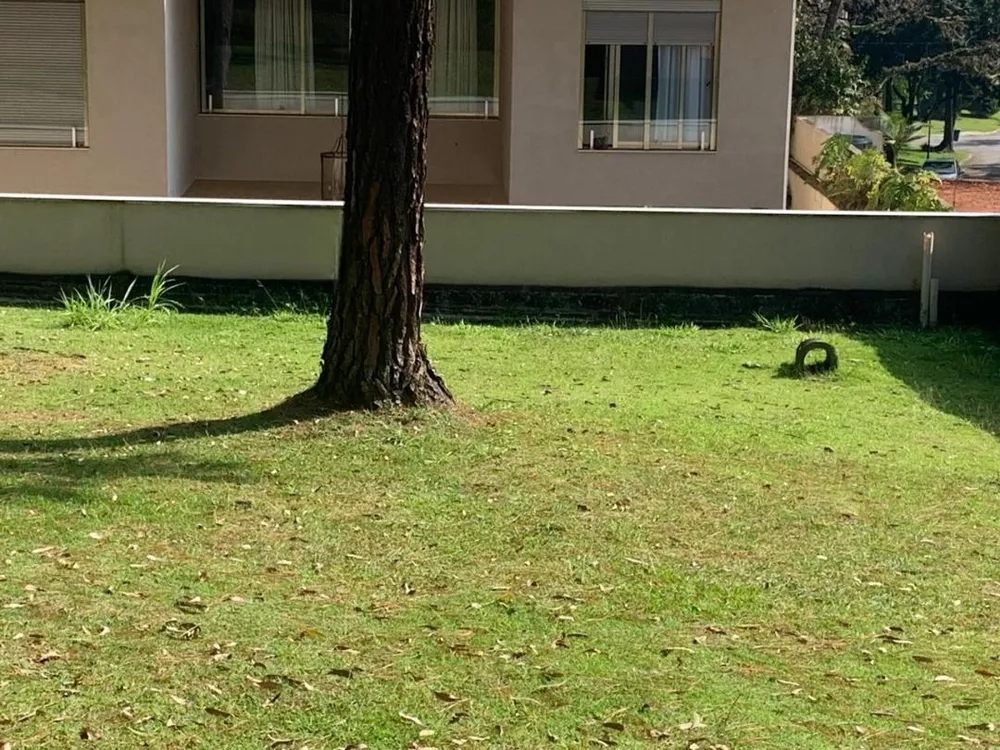 Terreno, 20 m² - Foto 4