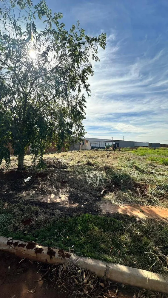 Terreno, 461 m² - Foto 4