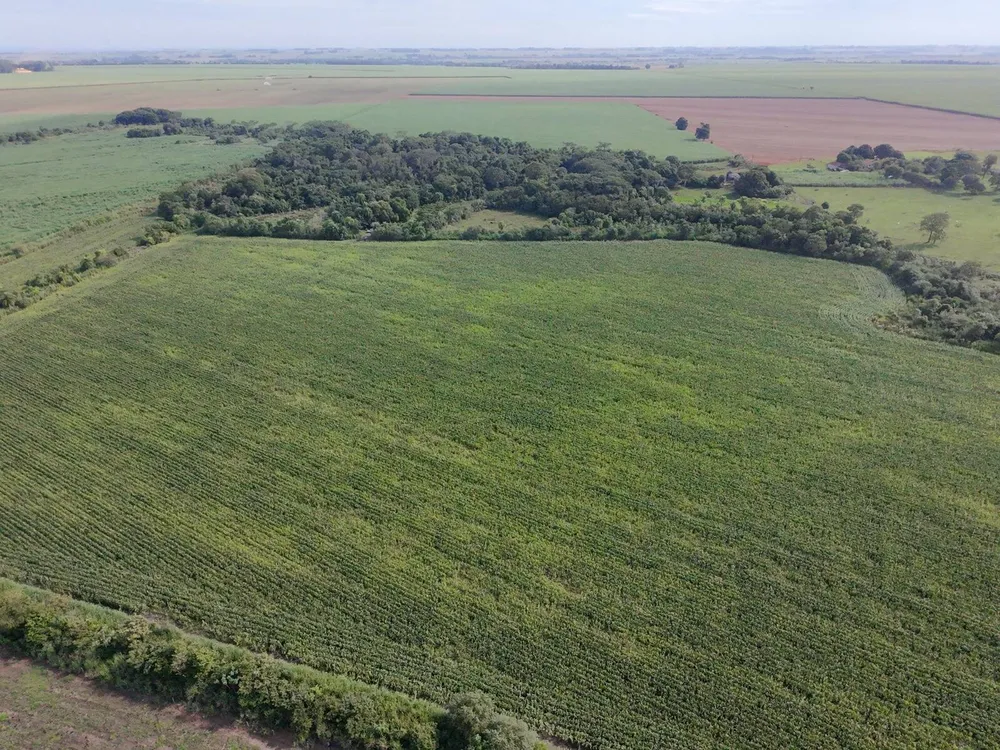 Terreno, 24 hectares - Foto 6