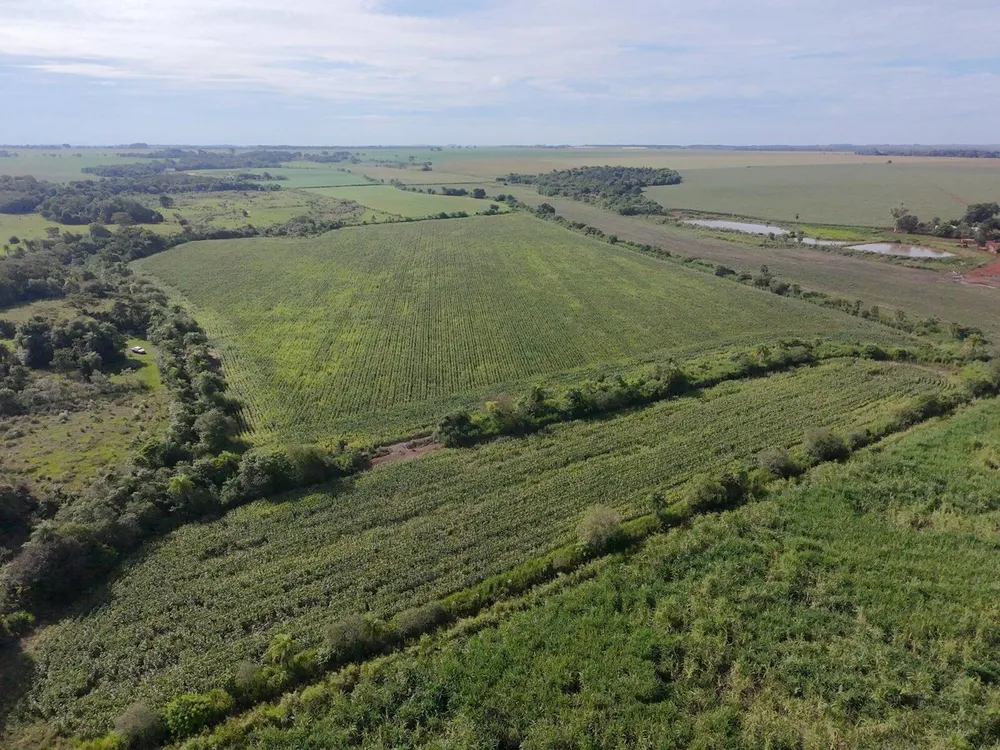 Terreno, 24 hectares - Foto 3