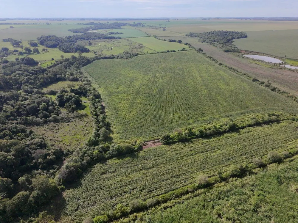 Terreno, 24 hectares - Foto 7